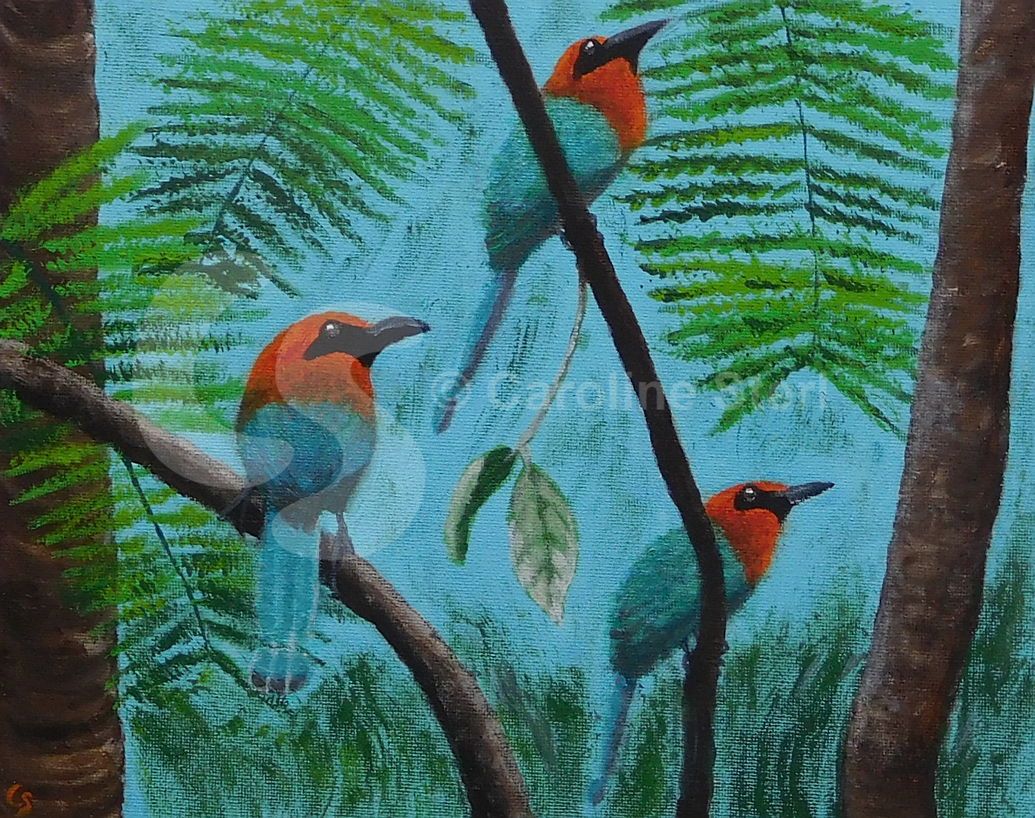 Painting: Broad-billed Motmots